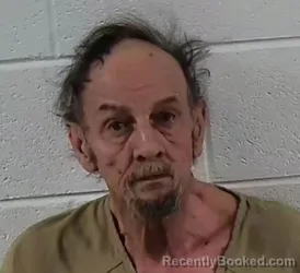 Mugshot of ELLIS JUNIOR AYERS