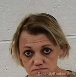 Mugshot of CRYSTAL GALE LANKFORD booked in Surry County, North Carolina on March 16, 2026