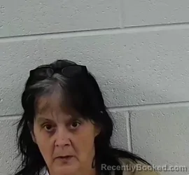 Mugshot of MELISSA DAWN MCPHERSON booked in Surry County, North Carolina on March 17, 2026