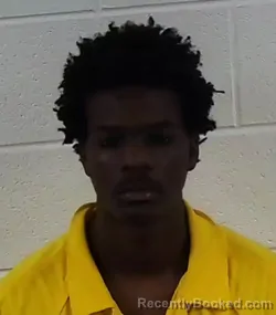 Mugshot of JO'VANI NATHANIEL NEWTON booked in Surry County, North Carolina on March 17, 2026