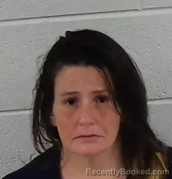 Mugshot of BRANDEE RACHELLE BLEDSOE booked in Surry County, North Carolina on March 21, 2026