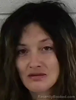 Mugshot of CARLEE JO AYERS booked in Surry County, North Carolina on March 25, 2026