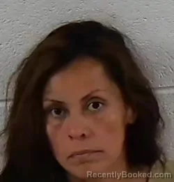 Mugshot of NORIS ELIZABETH PRUDENCIO CHACON booked in Surry County, North Carolina on April 1, 2026