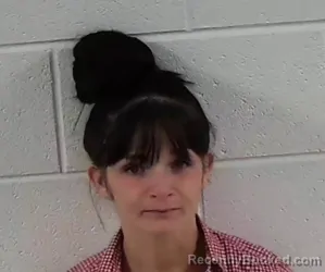 Mugshot of SANTANA MARIA OROZCO booked in Surry County, North Carolina on April 2, 2026