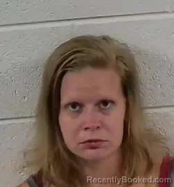 Mugshot of MAKAYLA NICOLE COMBS booked in Surry County, North Carolina on April 24, 2026