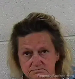 Mugshot of ALISA MADACSI SCHEIBER booked in Surry County, North Carolina on April 30, 2026