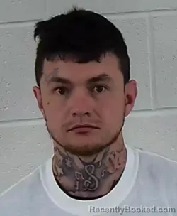 Mugshot of AUSTIN TYLER MEYER booked in Surry County, North Carolina on May 18, 2026