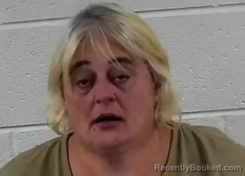 Mugshot of JANA LEEANN TORRES booked in Surry County, North Carolina on May 20, 2026