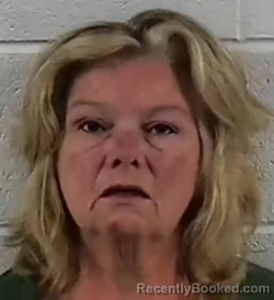 Mugshot of LISA RAYNETTE WHISENHUNT booked in Surry County, North Carolina on May 24, 2026