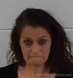 Mugshot of ASHLEY BEAMER JOHNSON booked in Surry County, North Carolina on June 4, 2026