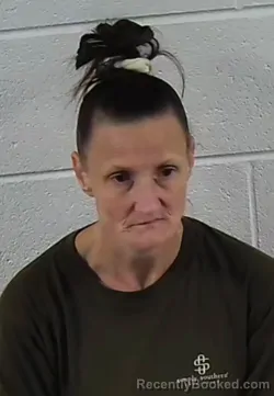 Mugshot of KIMBERLY DAWN LAMBETH booked in Surry County, North Carolina on June 5, 2026
