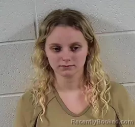 Mugshot of BREANA ALEXIS COCKERHAM booked in Surry County, North Carolina on June 17, 2026