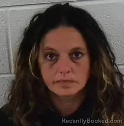 Mugshot of SHANNON FULTZ DOLLYHITE booked in Surry County, North Carolina on June 17, 2026