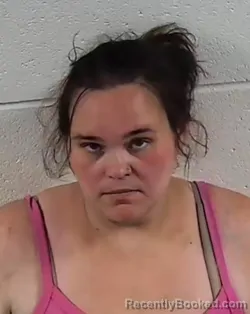 Mugshot of LOGAN MARIE KING booked in Surry County, North Carolina on June 24, 2026