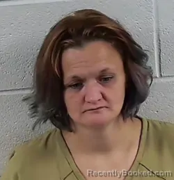 Mugshot of DESTANY NICOLE CHILDRESS booked in Surry County, North Carolina on June 24, 2026