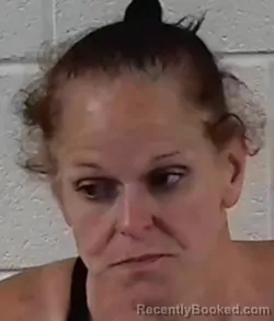 Mugshot of BRANDI LEIGH DODSON booked in Surry County, North Carolina on July 14, 2026