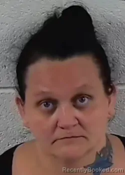 Mugshot of KATIE SHAY WEAVER booked in Surry County, North Carolina on July 14, 2026
