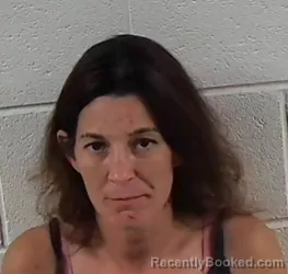 Mugshot of AMBER NICOLE DAVIS booked in Surry County, North Carolina on July 15, 2026