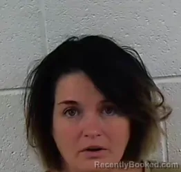 Mugshot of BRANDY MAE COLLINS booked in Surry County, North Carolina on July 28, 2026