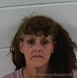 Mugshot of STEPHANIE LYNN BROWN booked in Surry County, North Carolina on August 4, 2026