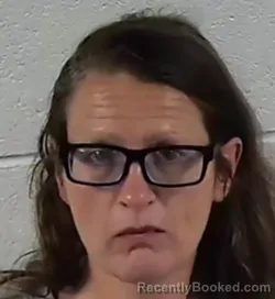 Mugshot of Sarah Jessica Mae Fain booked in Surry County, North Carolina on August 30, 2026