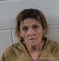 Mugshot of Tammy Lynn Hall booked in Surry County, North Carolina on September 1, 2026