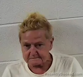 Mugshot of Alisa Madacsi Scheiber booked in Surry County, North Carolina on September 15, 2026