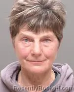 Mugshot of Karen Kay Lewis booked in Wilkin County, Minnesota on March 21, 2026