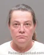 Mugshot of Stephanie Ann Rinnels booked in Wilkin County, Minnesota on April 27, 2026