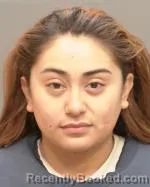 Mugshot of Elsa Marie Garcia booked in Wilkin County, Minnesota on October 17, 2026