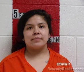 Mugshot of TYLER JACINTA RIVERA booked in Swain County, North Carolina on June 17, 2026
