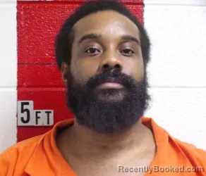 Mugshot of MICHAEL ANDREW BROWN