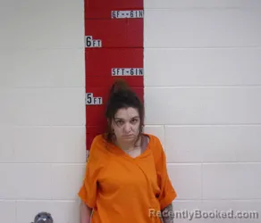 Mugshot of WHITNEY STILES