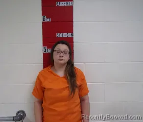 Mugshot of MICHELLE LEE ANN BRYSON