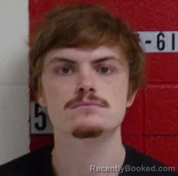 Mugshot of OWEN LUCUS LINGLE booked in Swain County, North Carolina on April 2, 2026