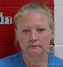 Mugshot of CRYSTAL LYNNE TAYLOR booked in Swain County, North Carolina on April 24, 2026