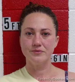 Mugshot of ANGYL RENAE JONES booked in Swain County, North Carolina on June 26, 2026