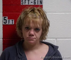 Mugshot of JESSICA LEIGH POSEY
