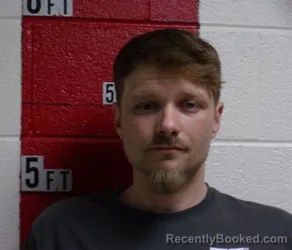 Mugshot of TYLER RAY WOODARD