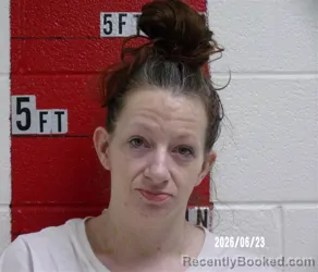 Mugshot of TORI SHEY GUNTER booked in Swain County, North Carolina on June 23, 2026