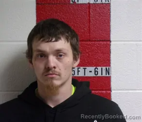 Mugshot of TYLER JOSEPH MORGAN