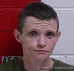 Mugshot of CHEYENNE CODAY booked in Swain County, North Carolina on March 27, 2026