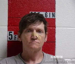 Mugshot of DAVID GREGORY WATSON booked in Swain County, North Carolina on May 28, 2026