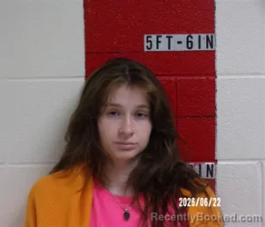 Mugshot of KOSI ISABEL WILMOT booked in Swain County, North Carolina on June 22, 2026