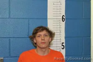 Mugshot of DEVON NATHANIEL TIPTON