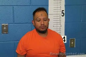 Mugshot of SEBASTIAN ALVARADO