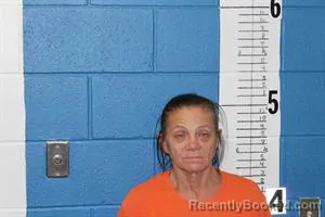 Mugshot of EVETTE LYNN HANSON