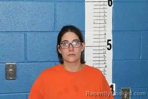 Mugshot of HANNAH ABBIGAIL FRAIZE