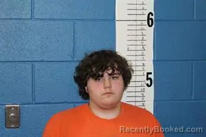 Mugshot of RAYMOND LEE MEADOWS booked in Calhoun County, Mississippi on March 27, 2026