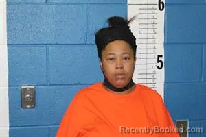 Mugshot of SHANETHA STEPHEN booked in Calhoun County, Mississippi on April 20, 2026